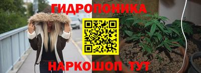 мдпв Аша