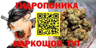 мдпв Аша