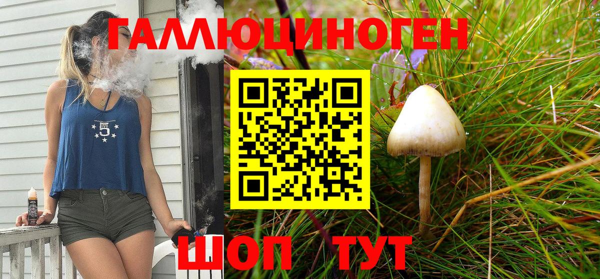Галлюциногенные грибы GOLDEN TEACHER Гусев