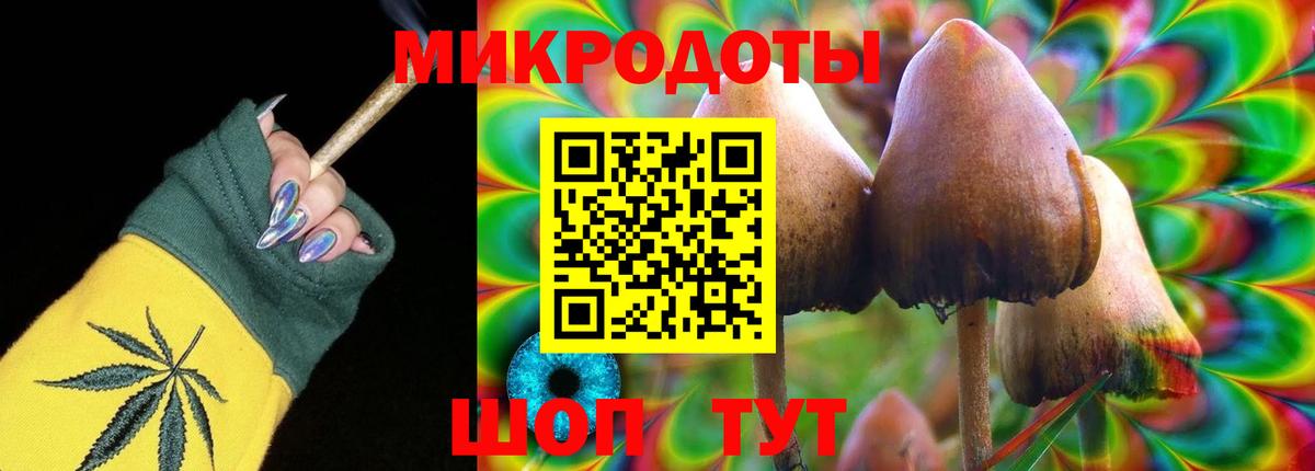 Гусев  Псилоцибиновые грибы MAGIC MUSHROOMS  Вход с VPN  Галлюциногенные грибы GOLDEN TEACHER 